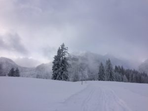 IMG_3301