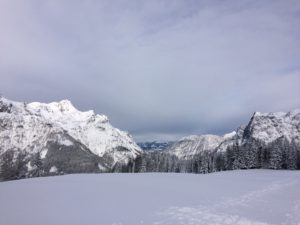 IMG_3314