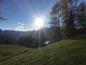 IMG_5739