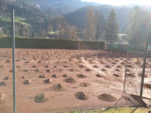 Sanierung (9)